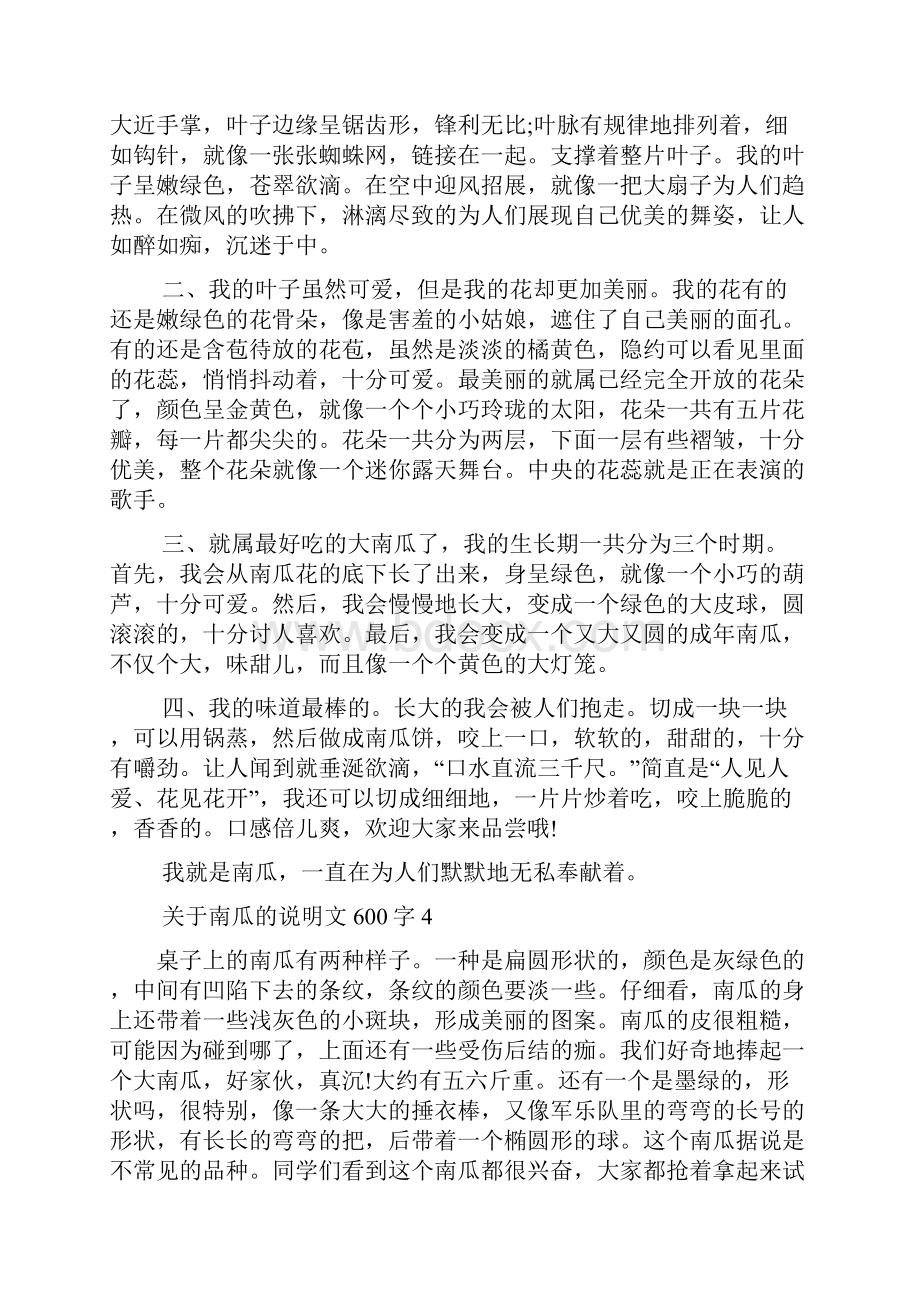 关于南瓜的说明文600字.docx_第3页