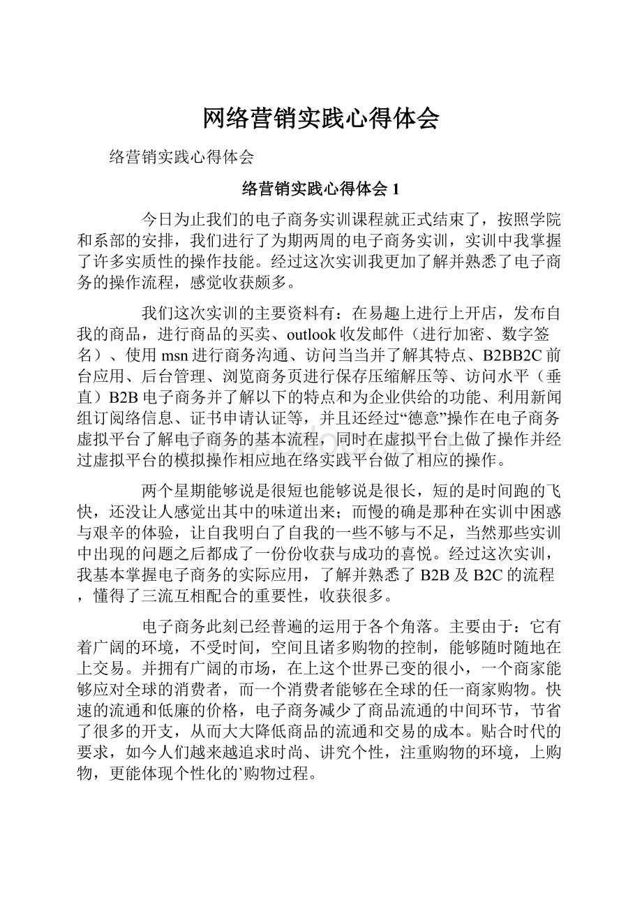 网络营销实践心得体会.docx