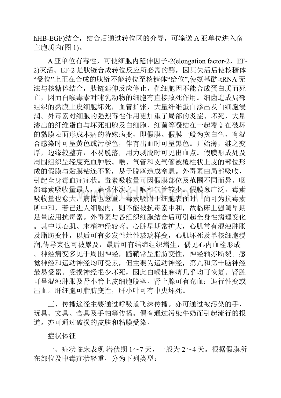 白喉白喉的症状白喉治疗专业知识.docx_第3页