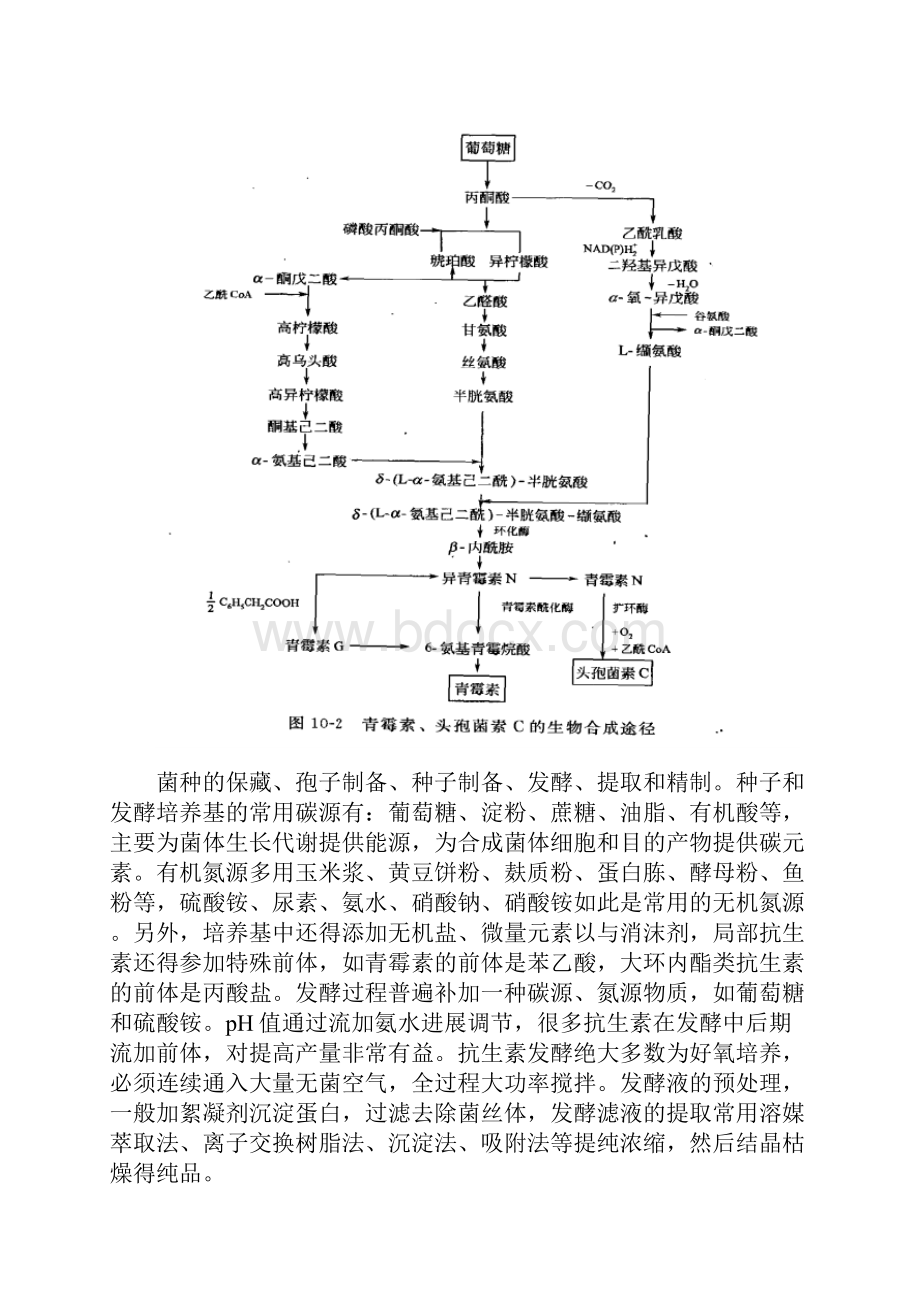 生物分离工程课程设计.docx_第3页