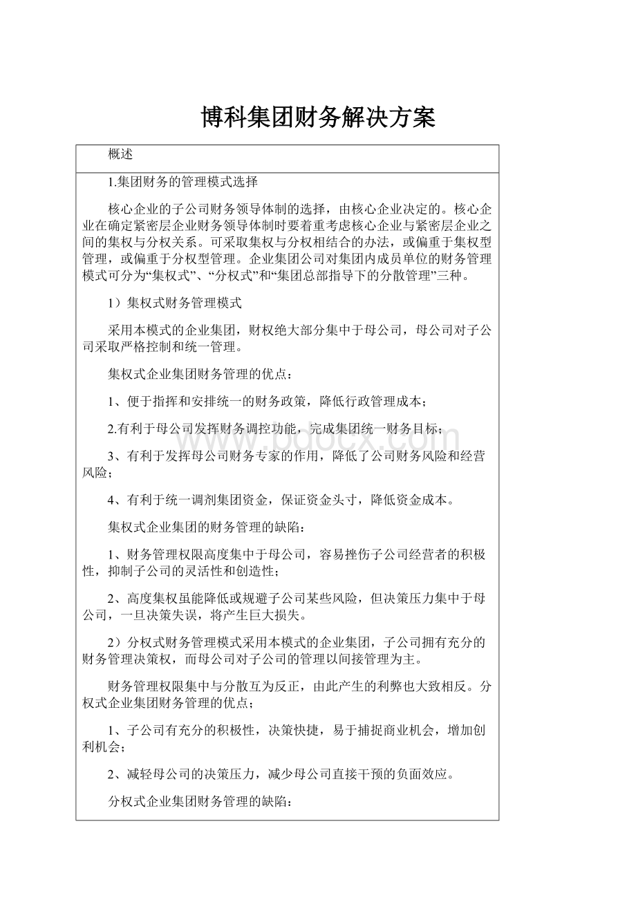 博科集团财务解决方案.docx