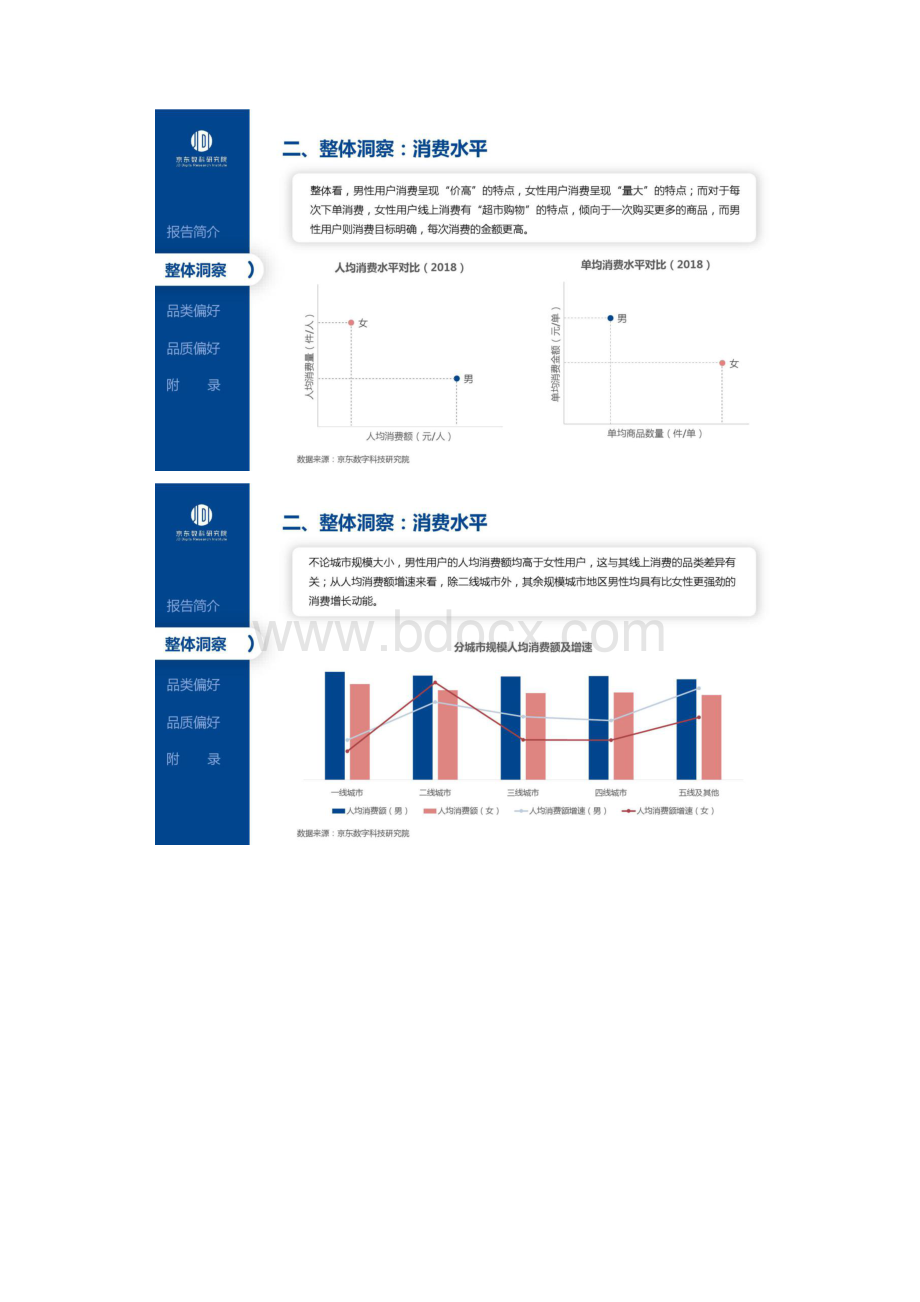 京东数科TA消费洞察报告.docx_第3页