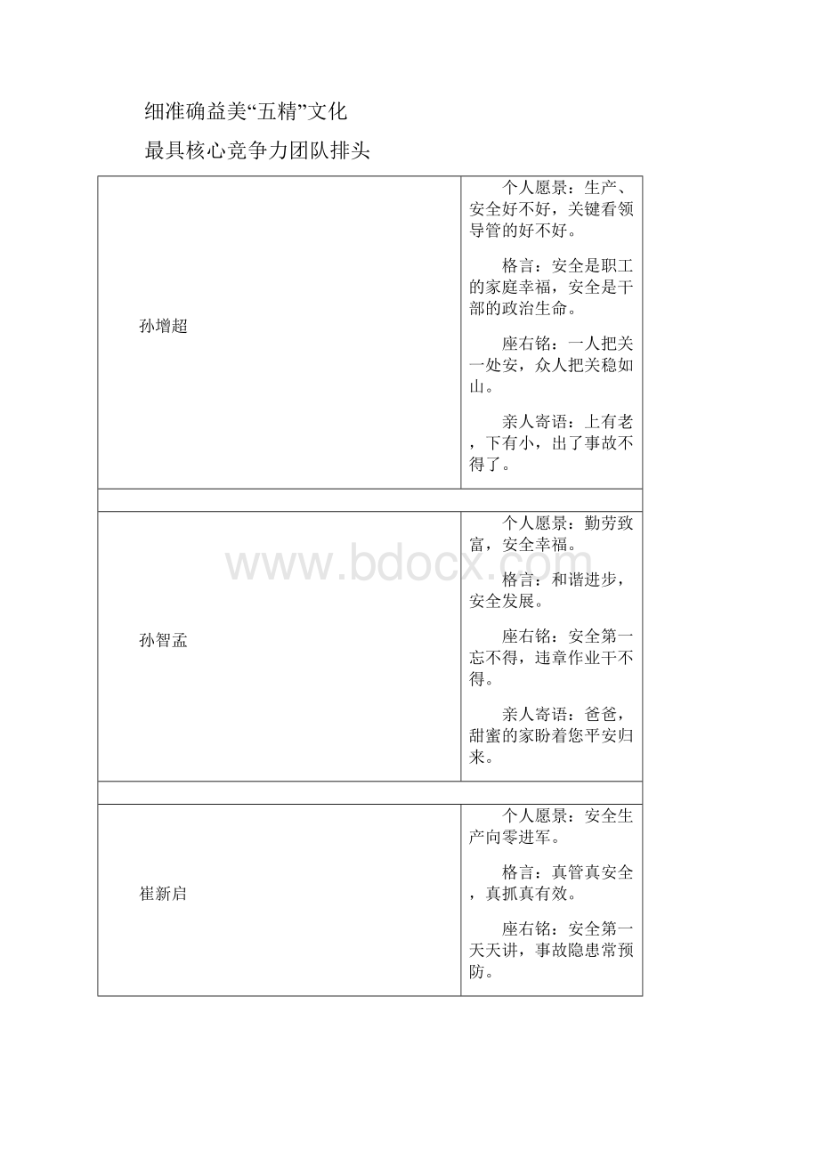 队班组及个人愿景.docx_第2页