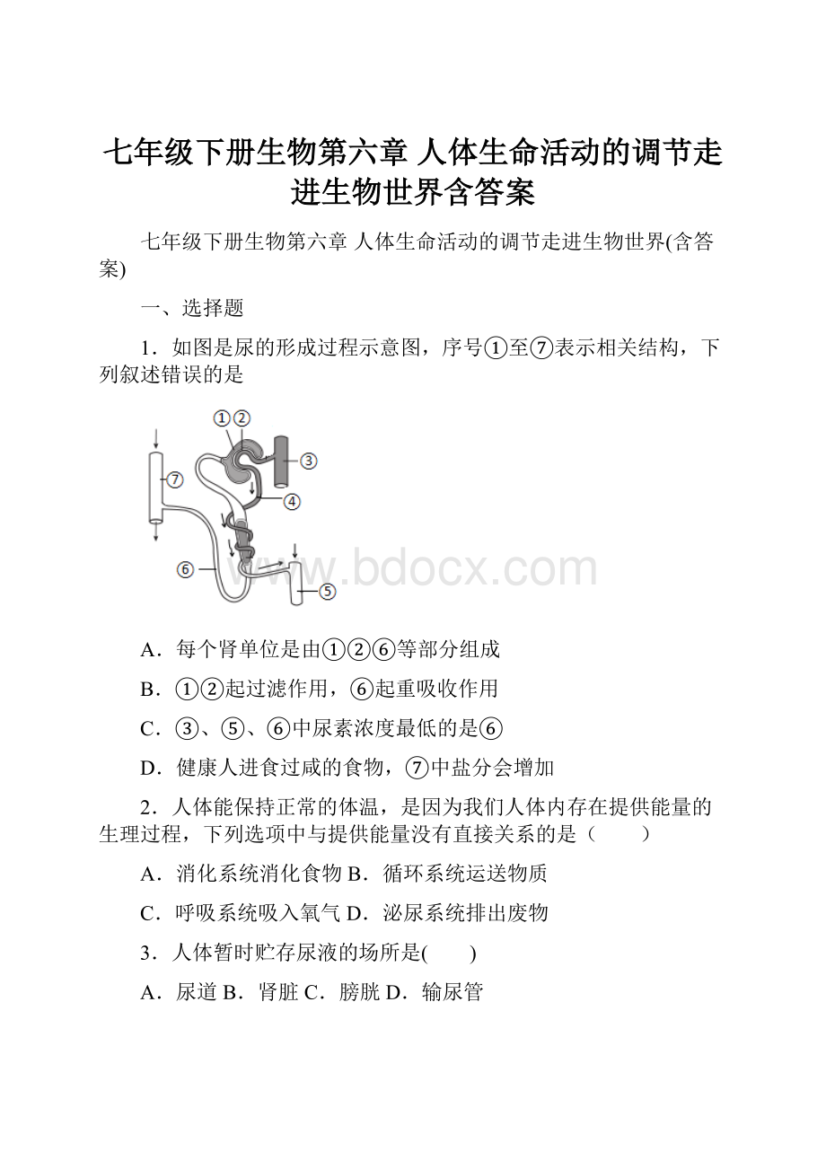 七年级下册生物第六章 人体生命活动的调节走进生物世界含答案.docx