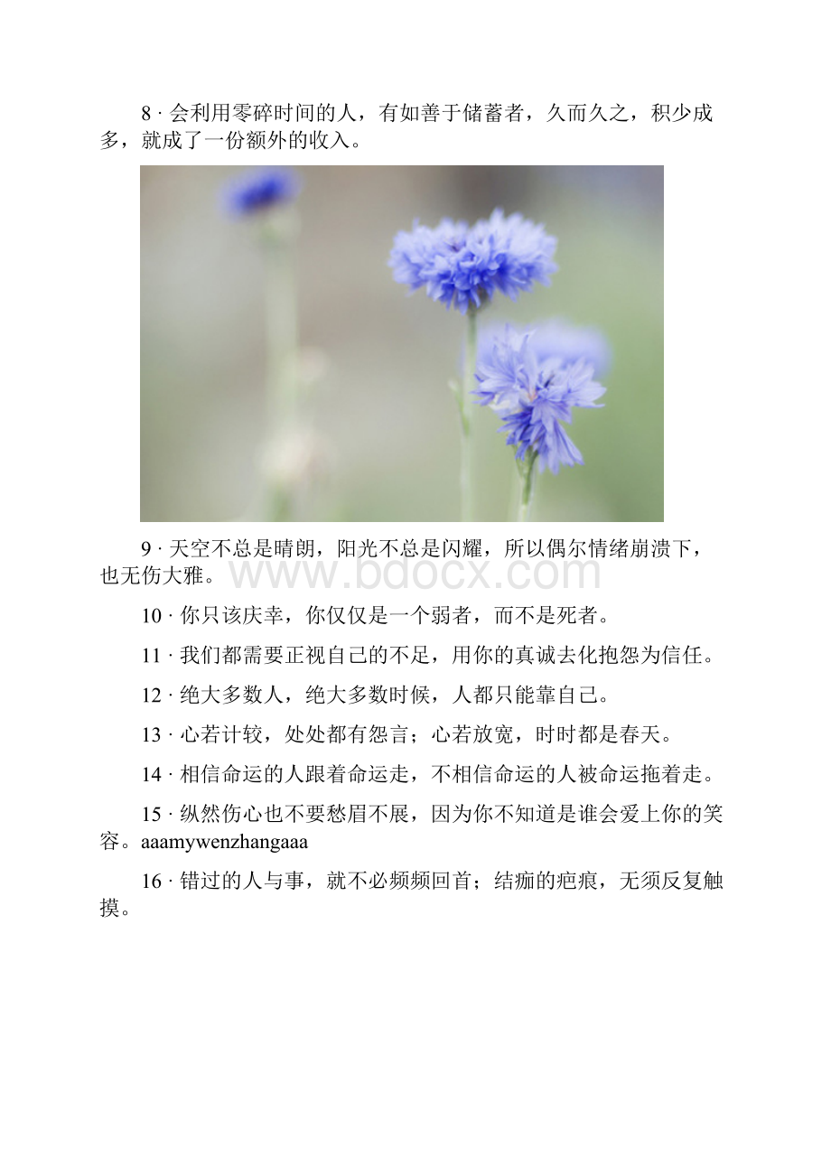 少走了弯路也就错过了风景无论如何感谢经历.docx_第3页