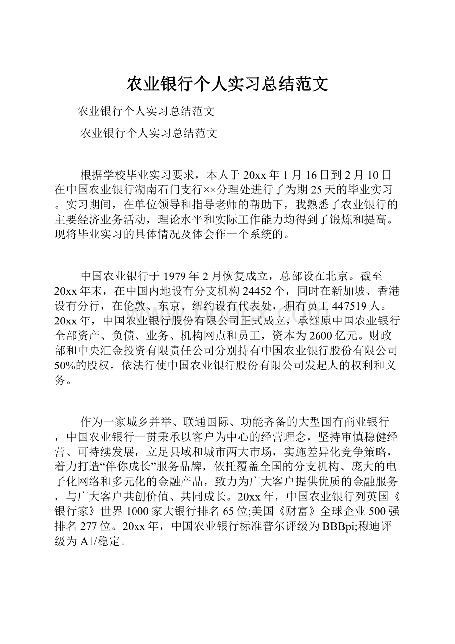 农业银行个人实习总结范文.docx_第1页