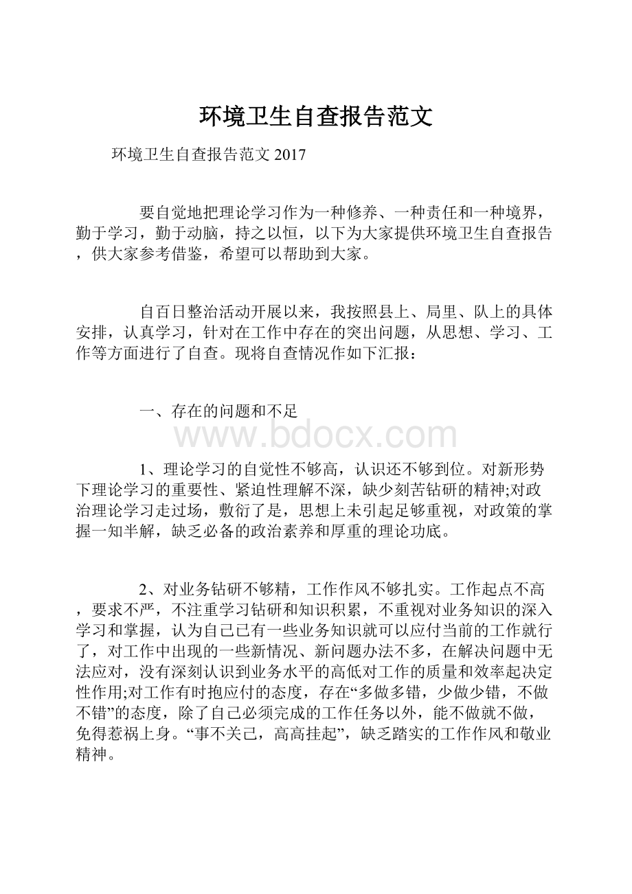 环境卫生自查报告范文.docx