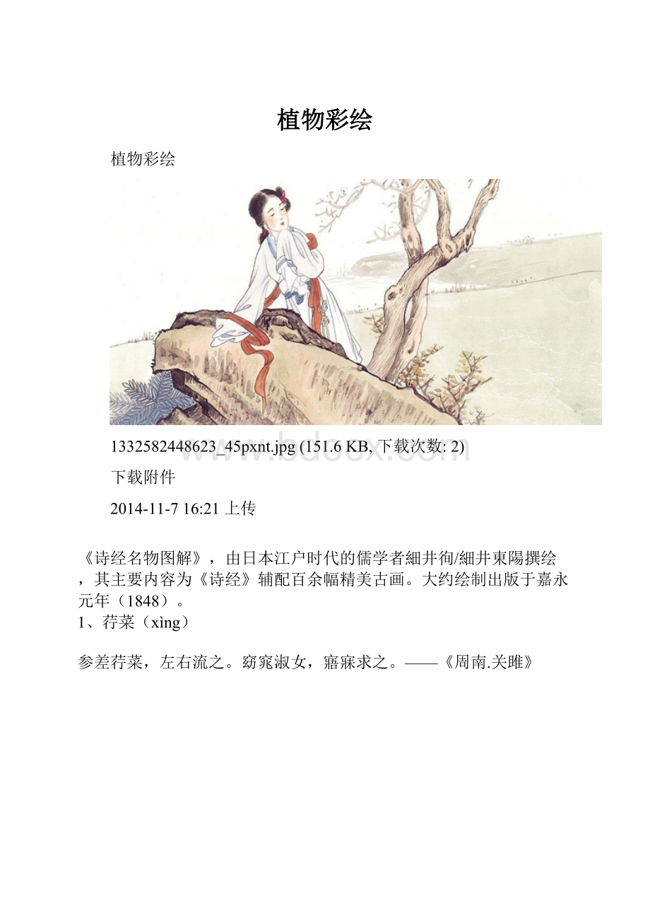 植物彩绘.docx