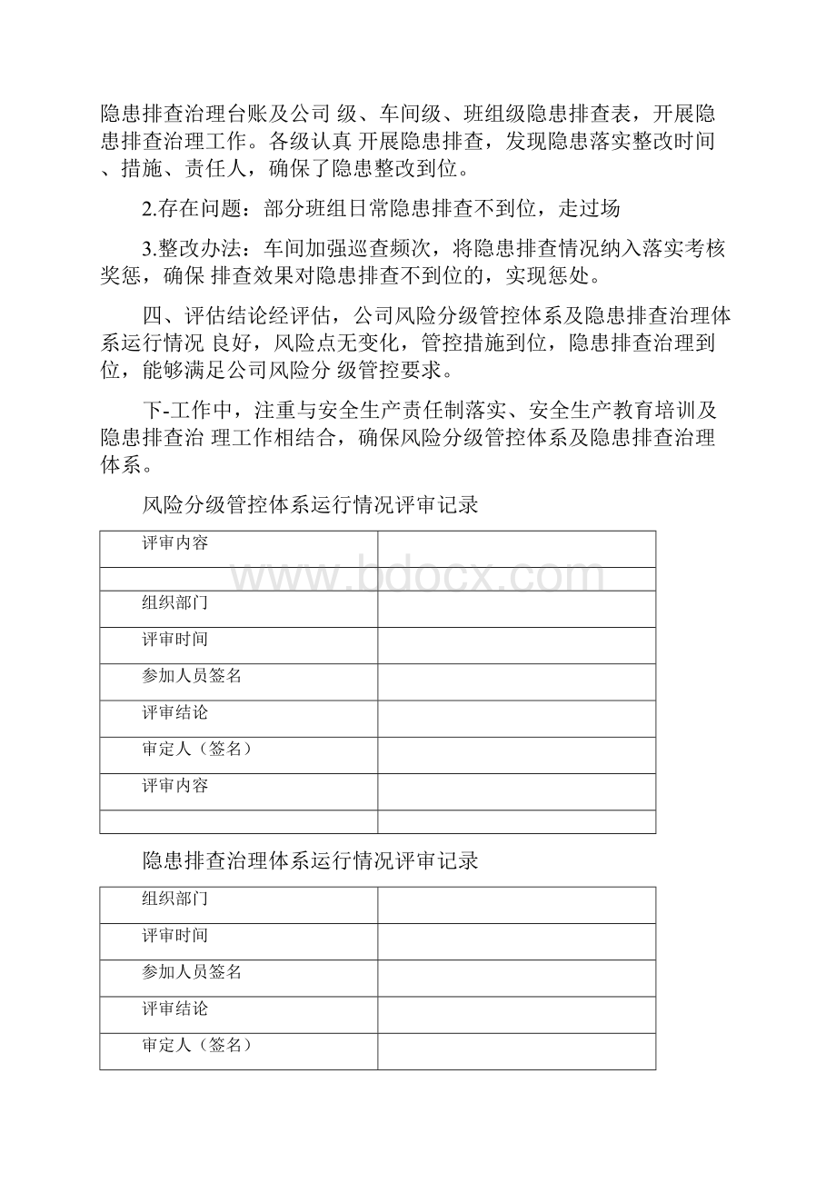 双重预防体系运行情况评审报告.docx_第3页