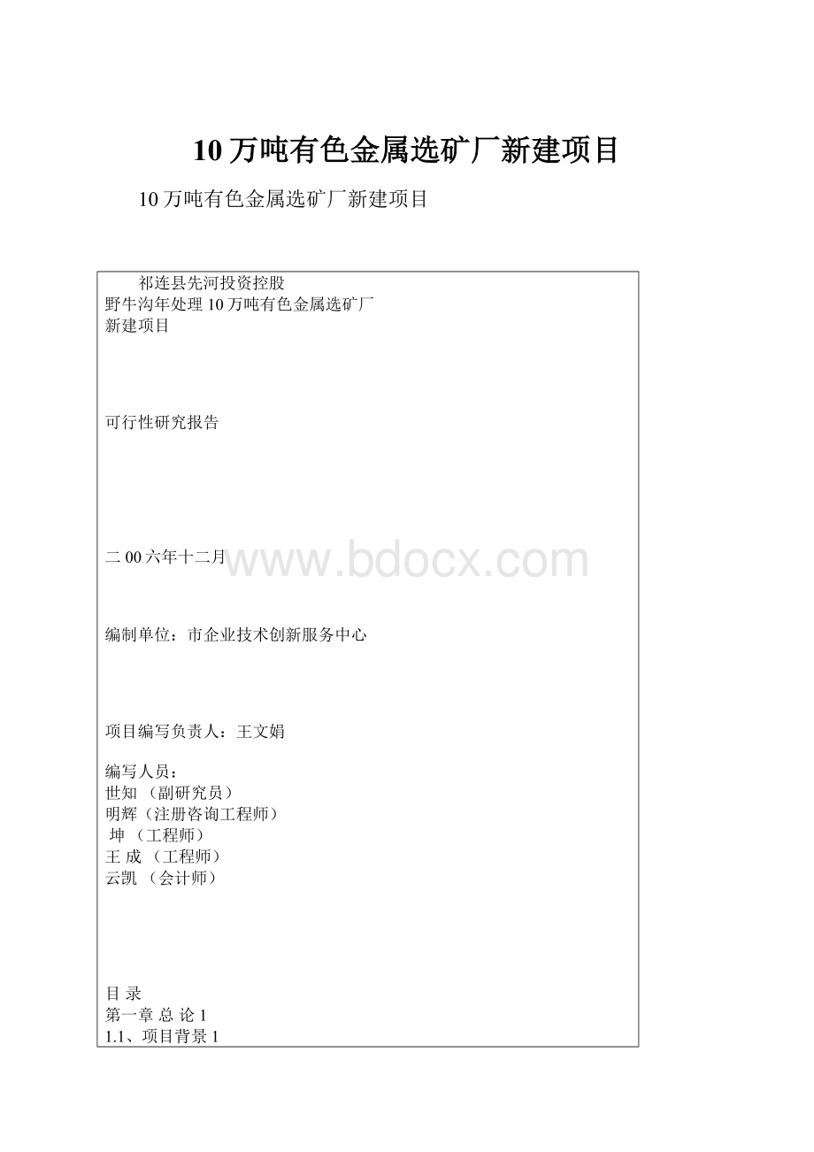 10万吨有色金属选矿厂新建项目.docx