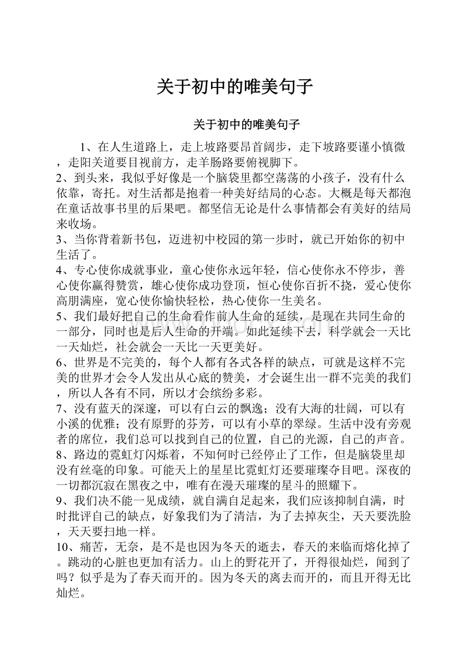 关于初中的唯美句子.docx