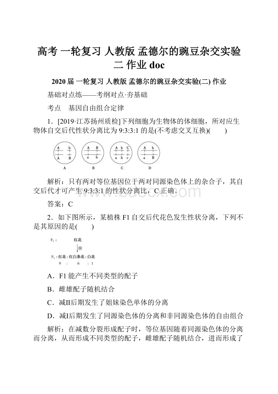 高考 一轮复习人教版 孟德尔的豌豆杂交实验二 作业doc.docx_第1页