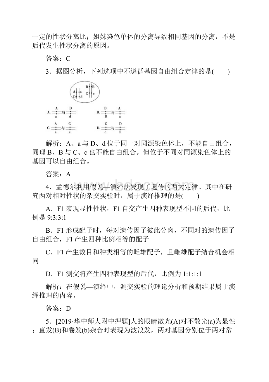 高考 一轮复习人教版 孟德尔的豌豆杂交实验二 作业doc.docx_第2页