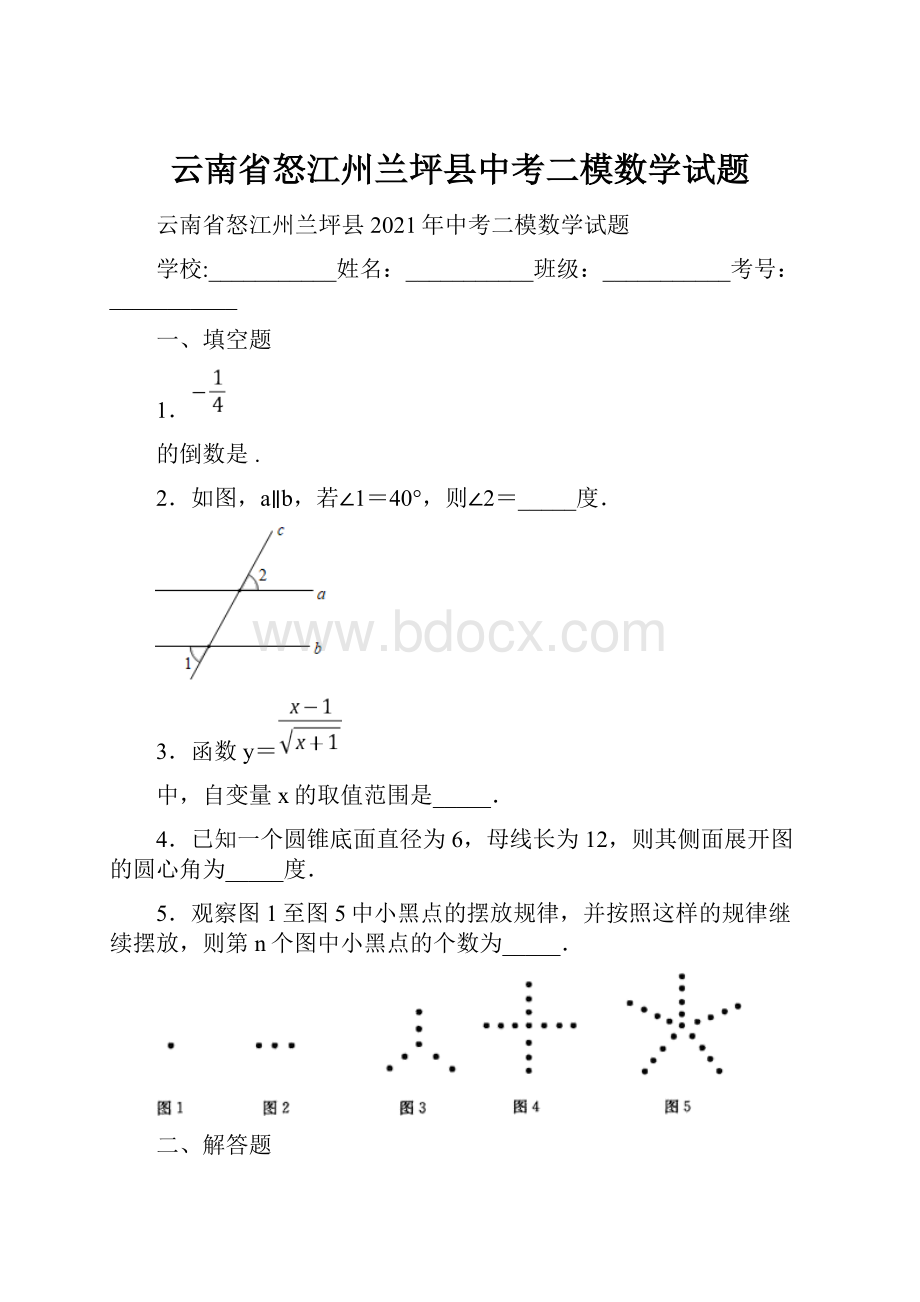 云南省怒江州兰坪县中考二模数学试题.docx