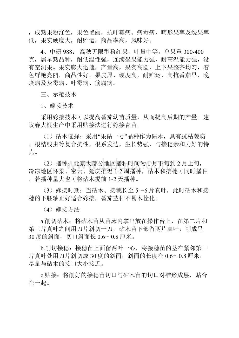 春大棚番茄高产高效创建技术方案.docx_第2页