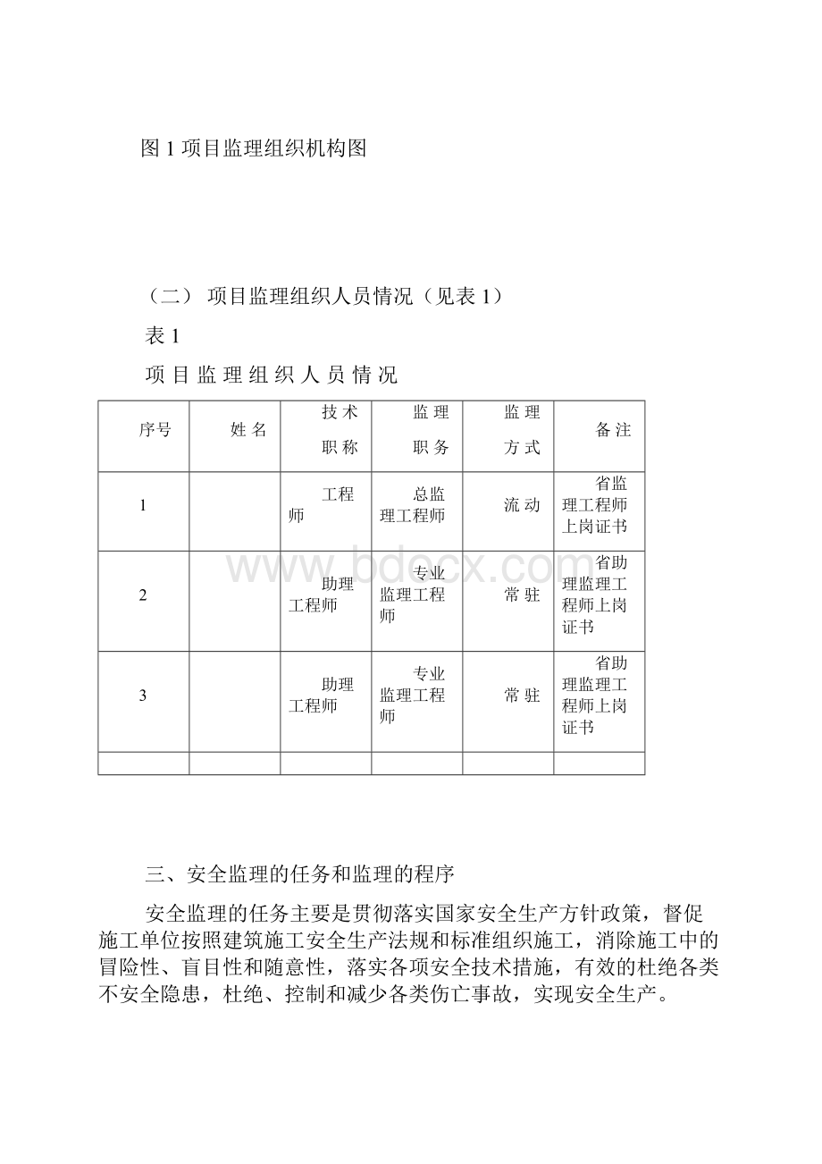 安全监理规划与实施细则.docx_第3页