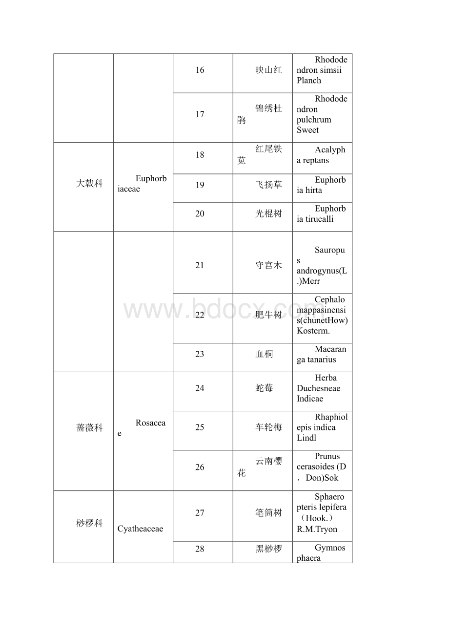 表华南植物园的植物名录及科的特征.docx_第3页