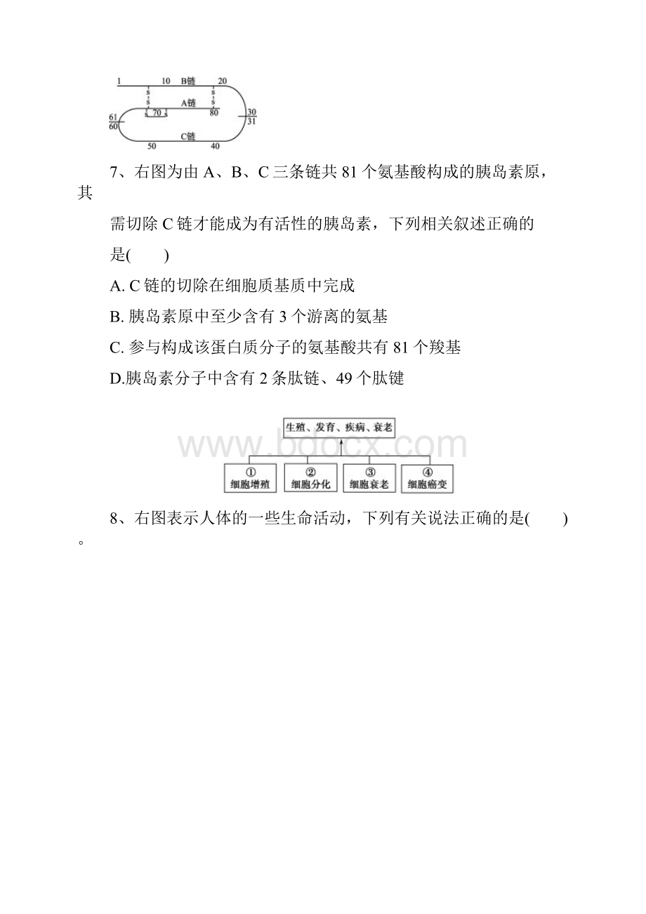河南省永城市高级中学学年高一月考生物试题含答案.docx_第3页