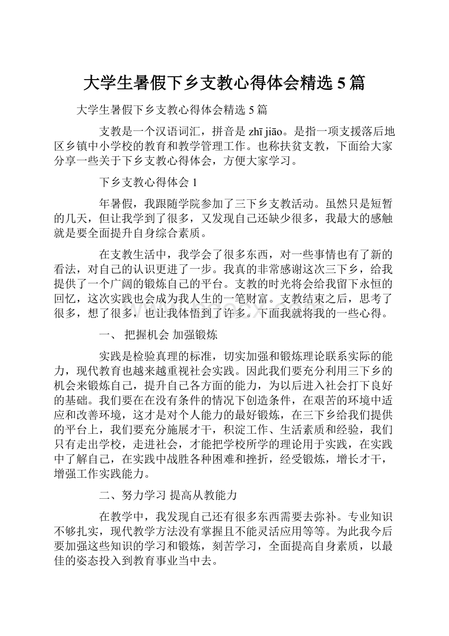 大学生暑假下乡支教心得体会精选5篇.docx