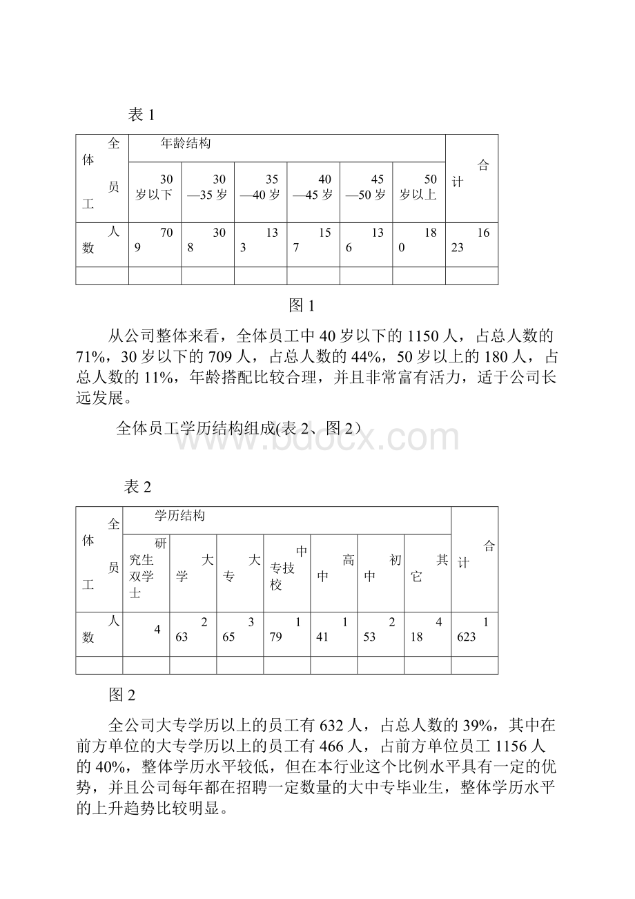 人力资源诊断报告书.docx_第2页