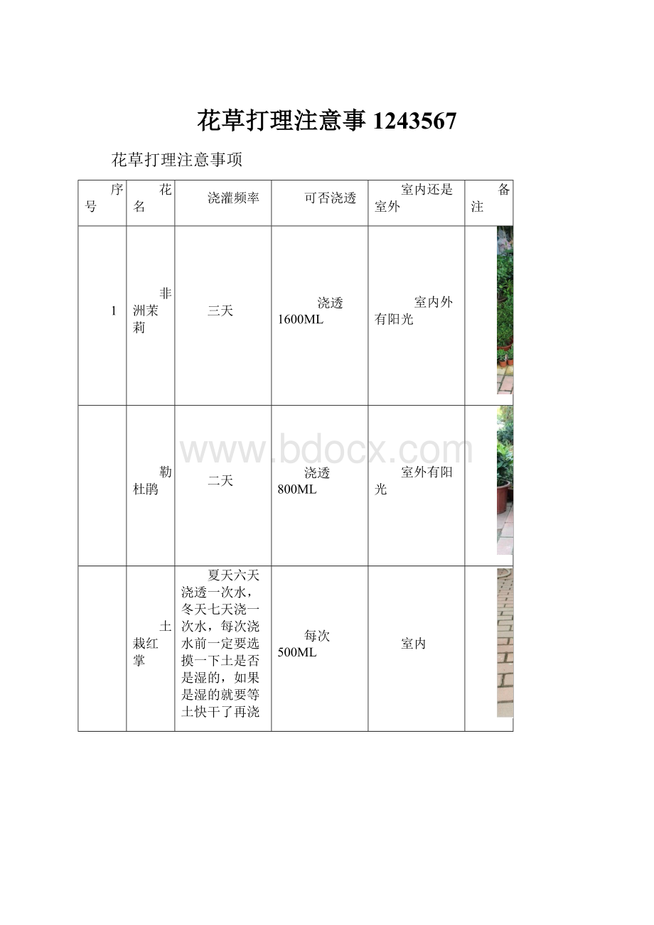 花草打理注意事1243567.docx