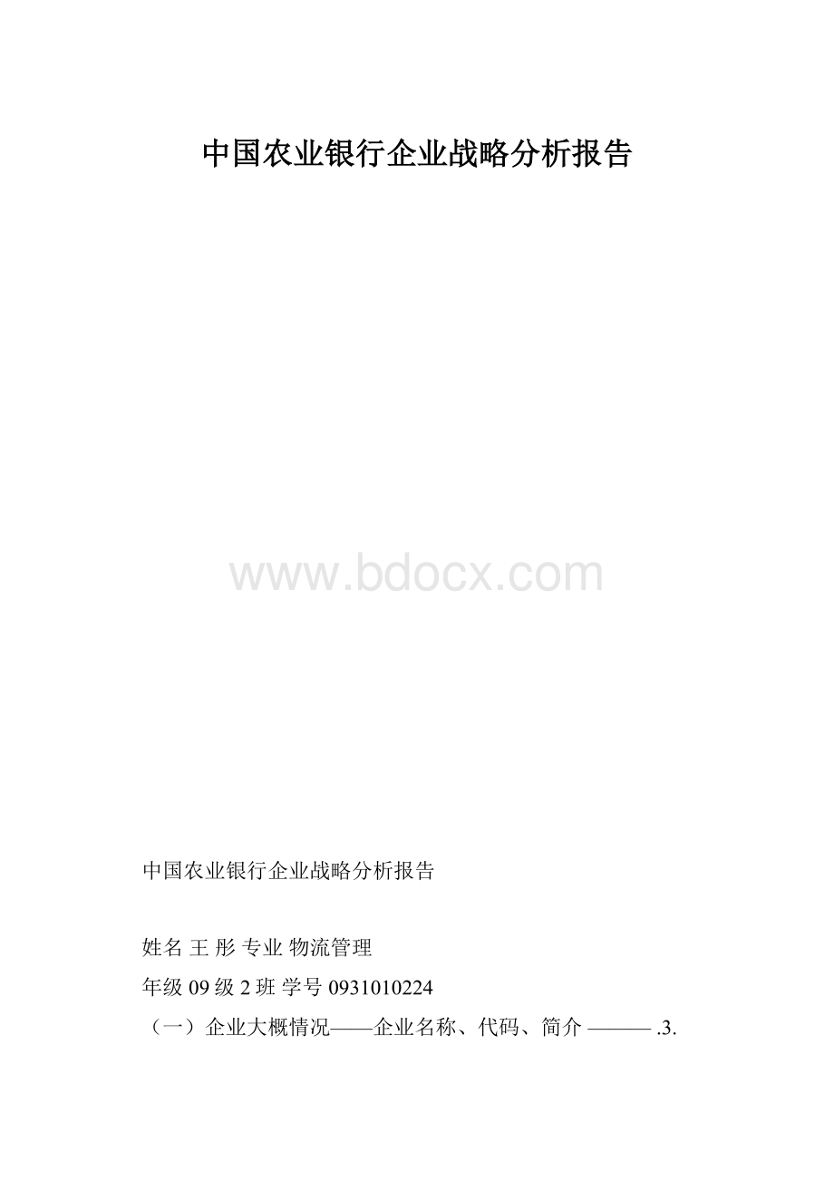 中国农业银行企业战略分析报告.docx_第1页