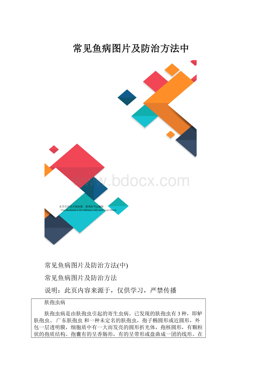 常见鱼病图片及防治方法中.docx_第1页