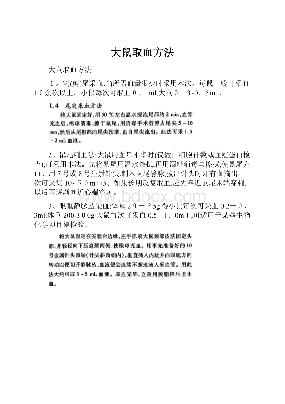 大鼠取血方法.docx