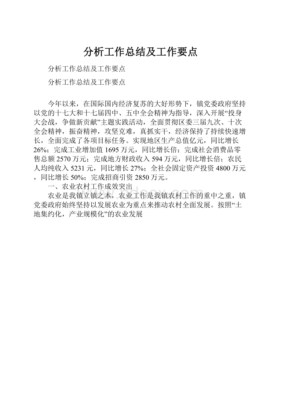 分析工作总结及工作要点.docx