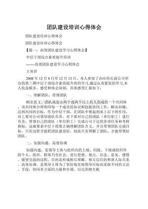 团队建设培训心得体会.docx