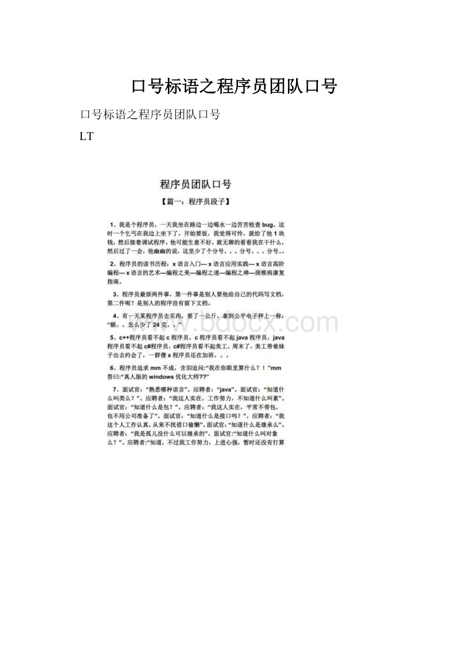 口号标语之程序员团队口号.docx_第1页