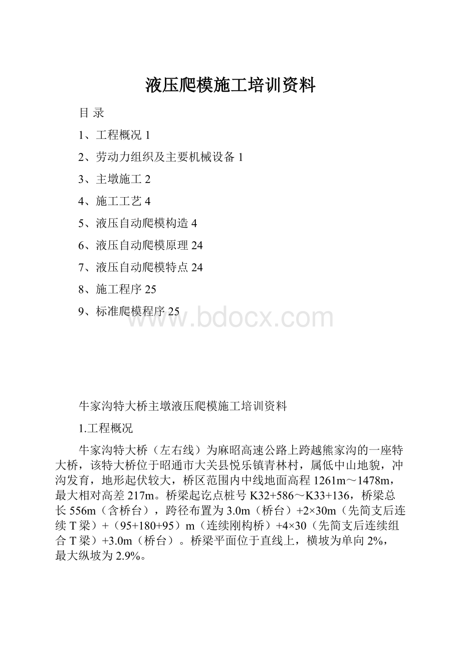 液压爬模施工培训资料.docx