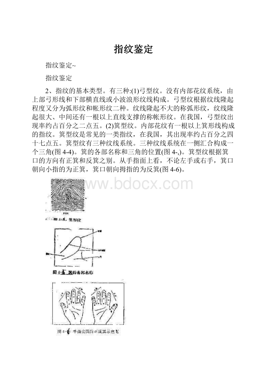 指纹鉴定.docx