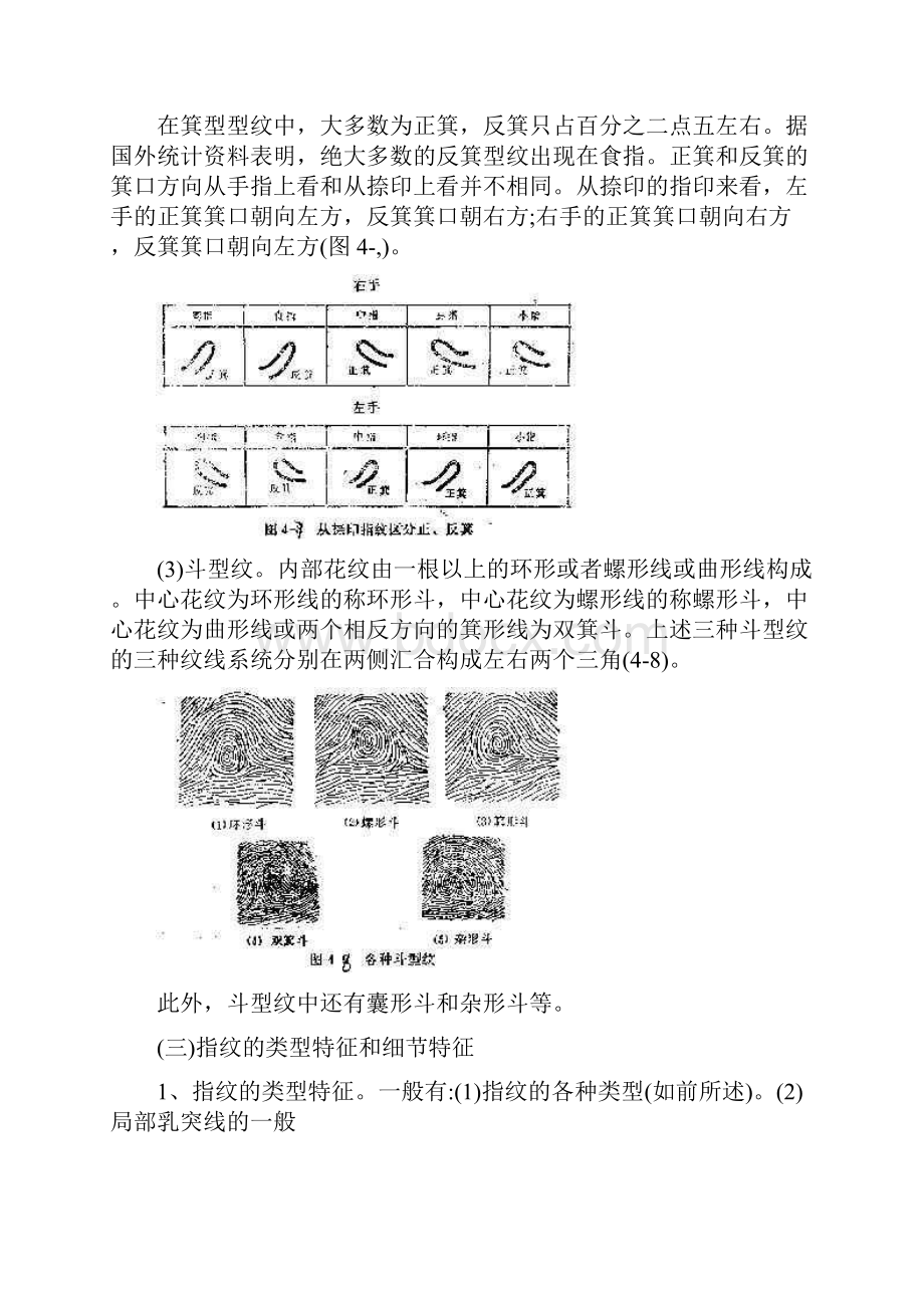 指纹鉴定.docx_第2页