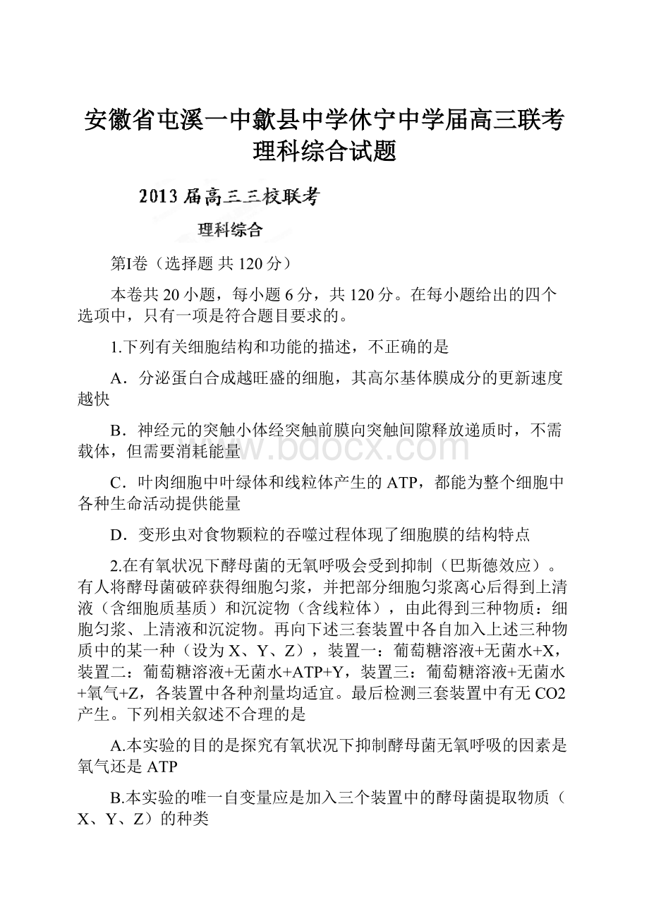 安徽省屯溪一中歙县中学休宁中学届高三联考理科综合试题.docx