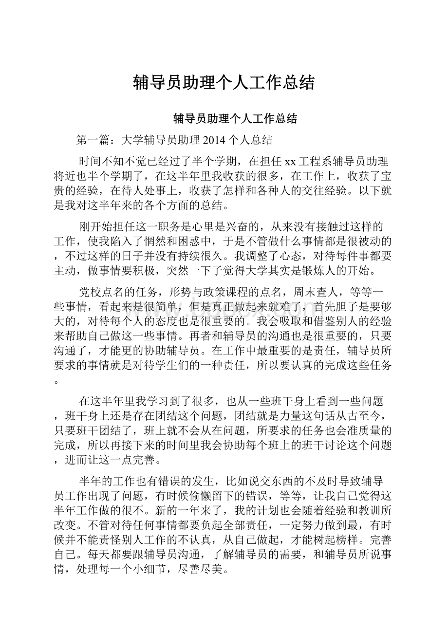 辅导员助理个人工作总结.docx