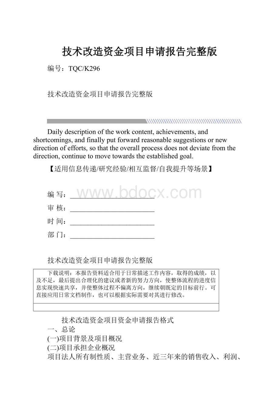 技术改造资金项目申请报告完整版.docx