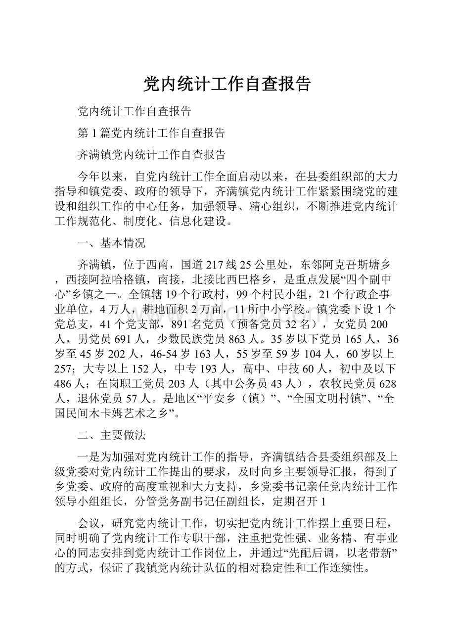 党内统计工作自查报告.docx