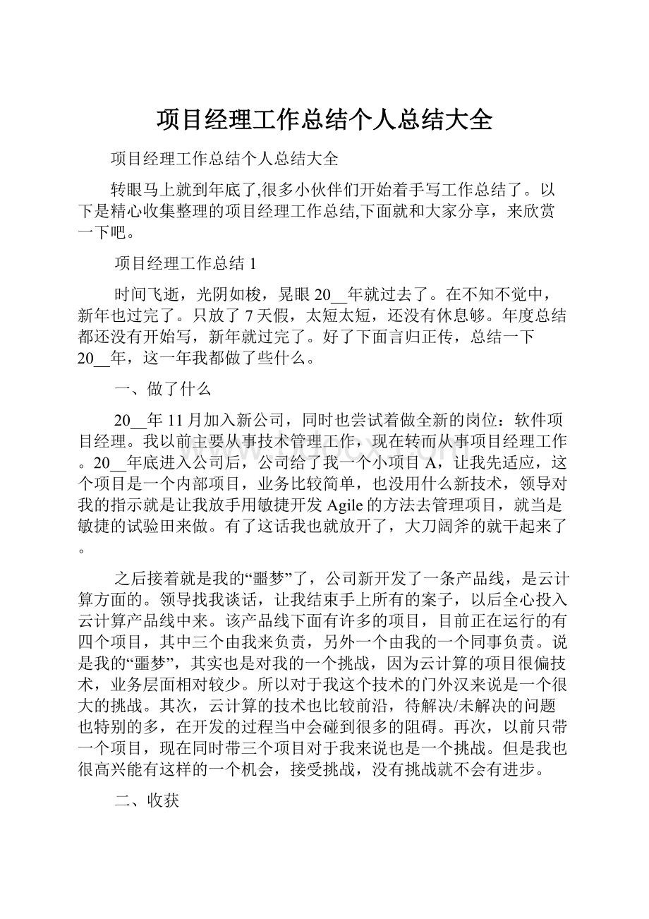 项目经理工作总结个人总结大全.docx