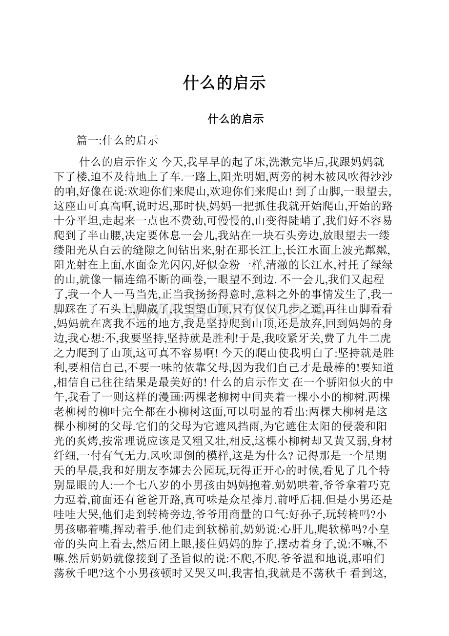 什么的启示.docx_第1页