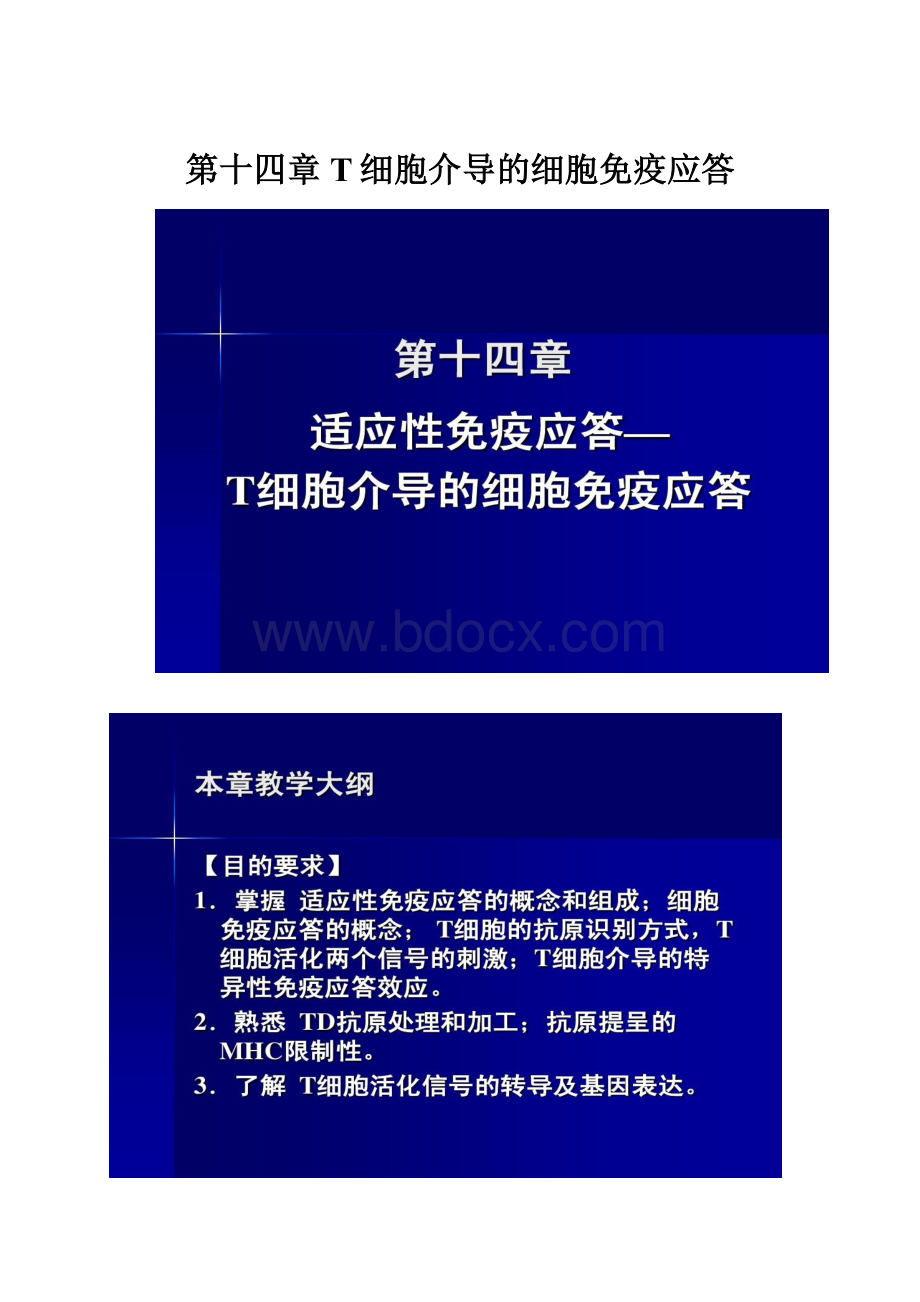 第十四章T细胞介导的细胞免疫应答.docx