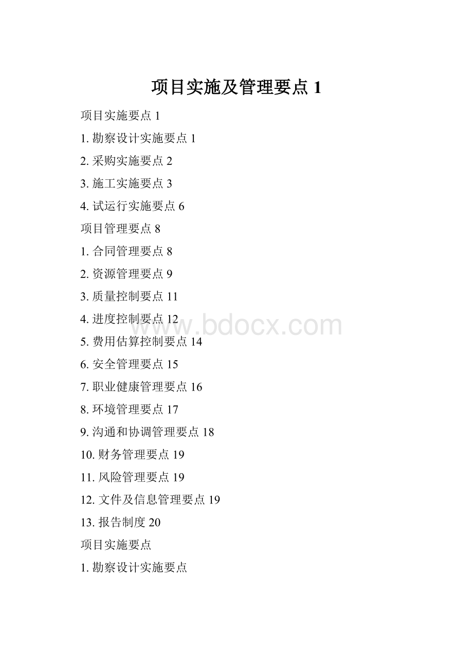 项目实施及管理要点1.docx