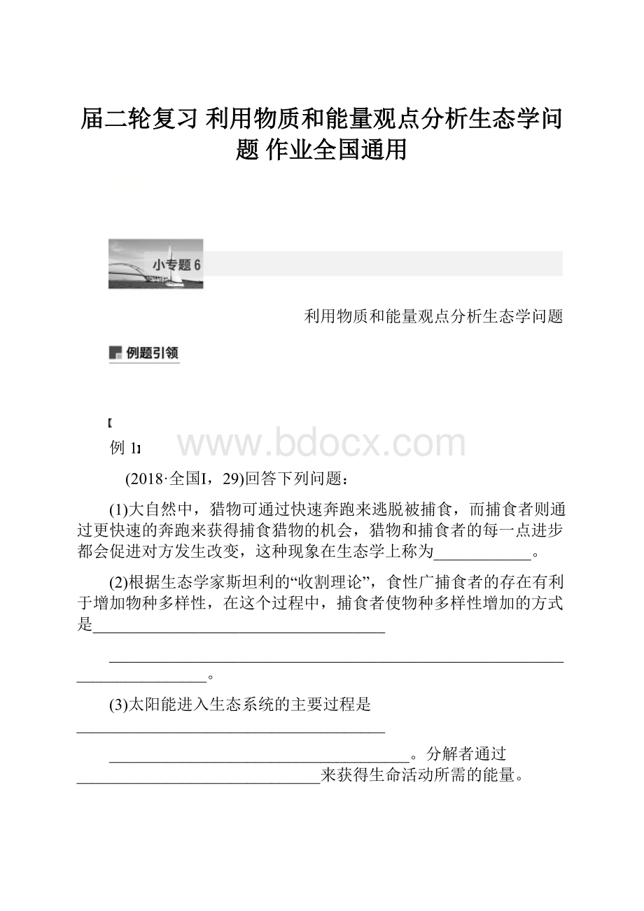 届二轮复习利用物质和能量观点分析生态学问题 作业全国通用.docx