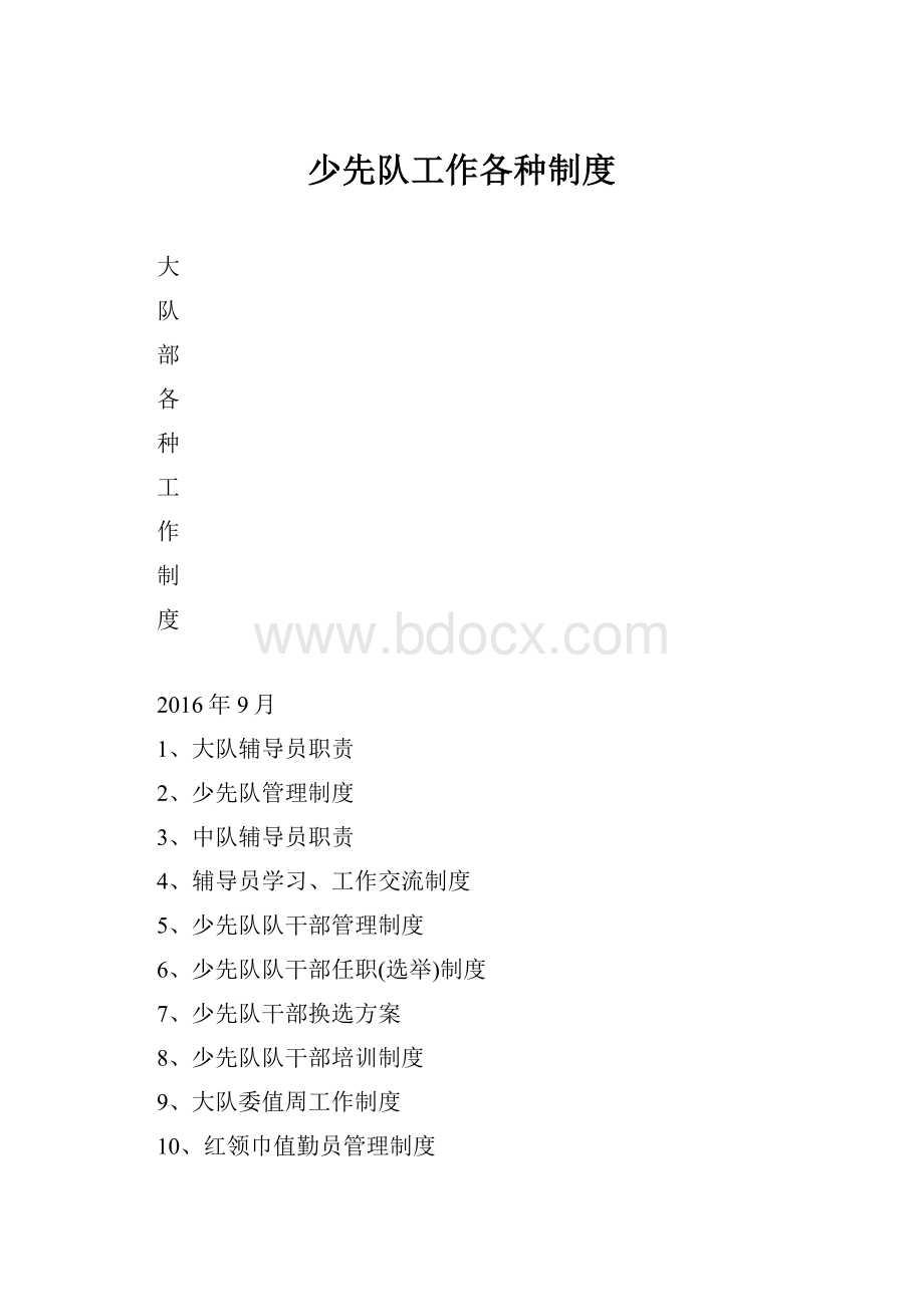 少先队工作各种制度.docx_第1页