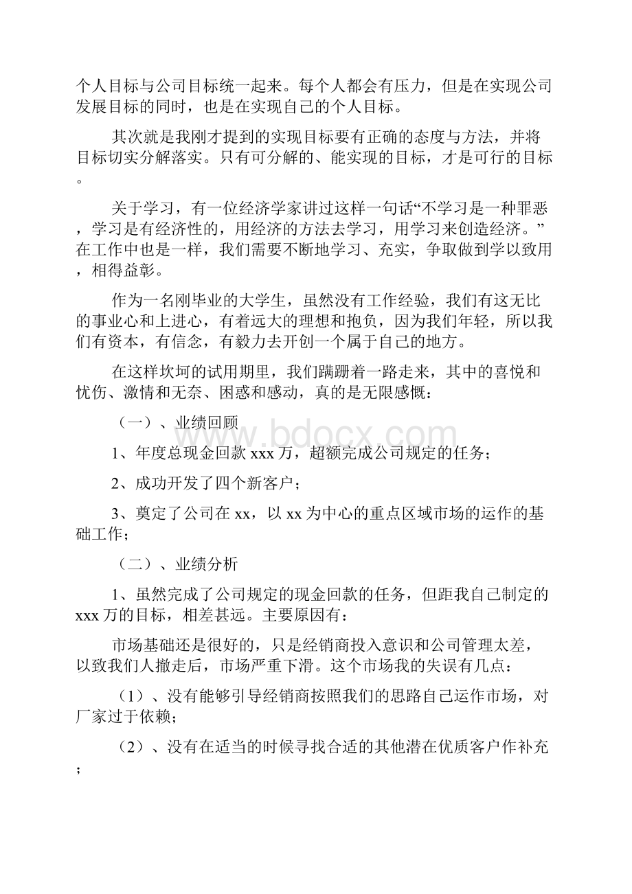 酒销售试用期工作总结.docx_第2页