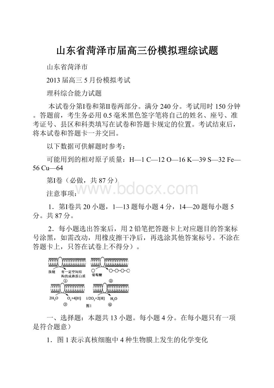 山东省菏泽市届高三份模拟理综试题.docx_第1页