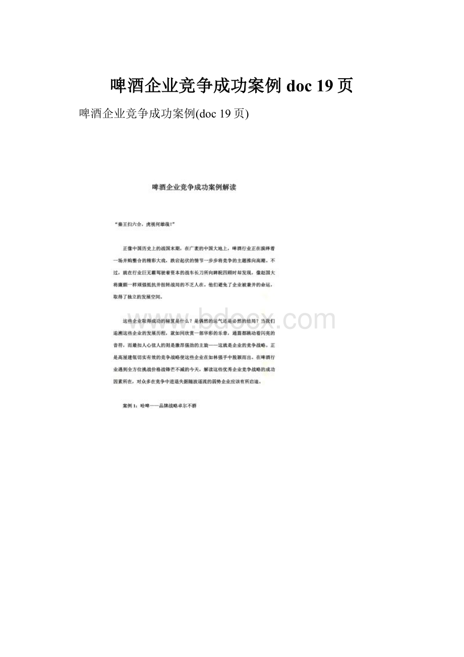 啤酒企业竞争成功案例doc 19页.docx