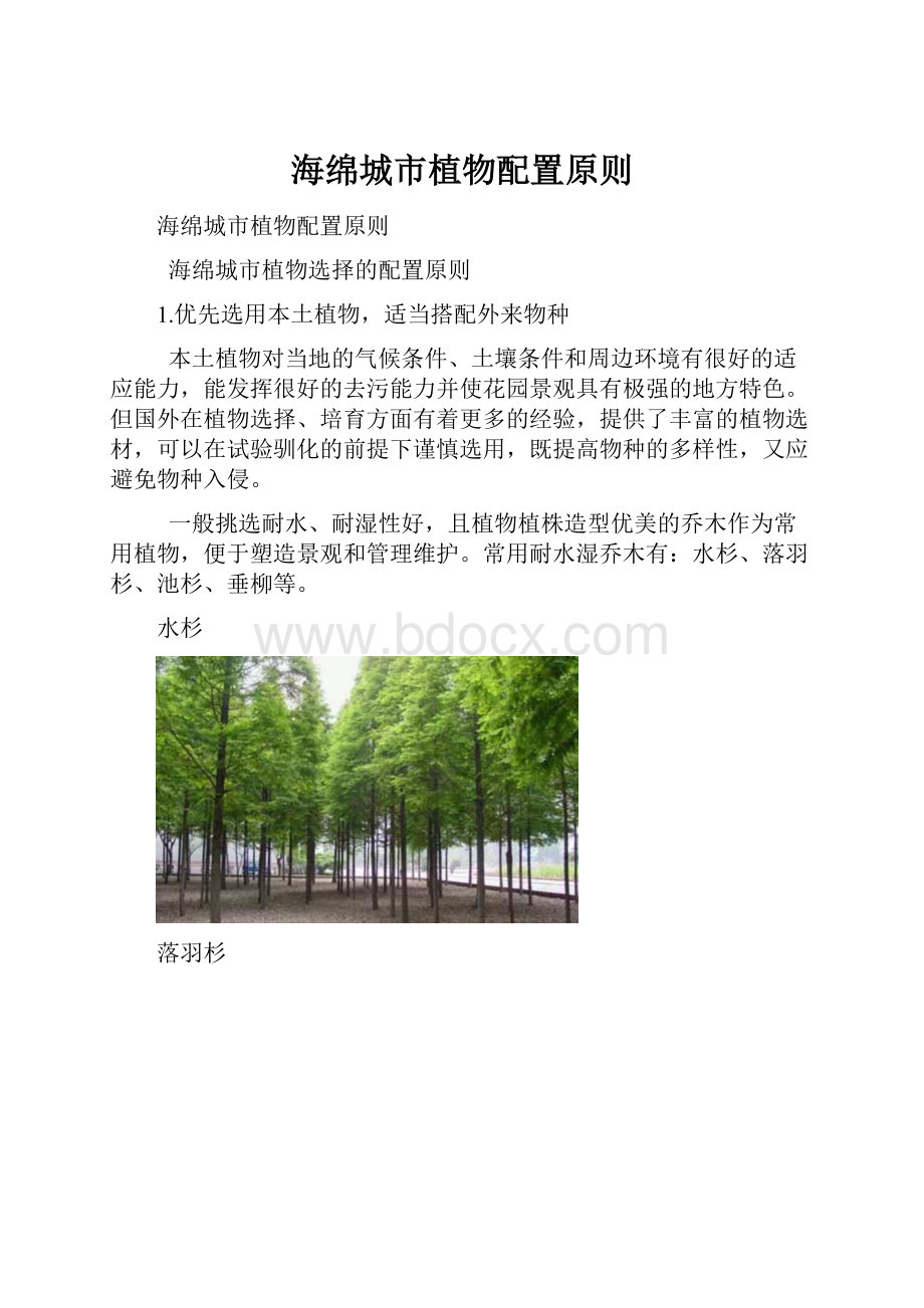 海绵城市植物配置原则.docx_第1页