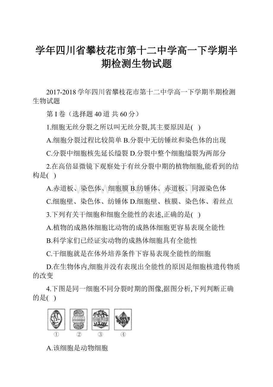 学年四川省攀枝花市第十二中学高一下学期半期检测生物试题.docx