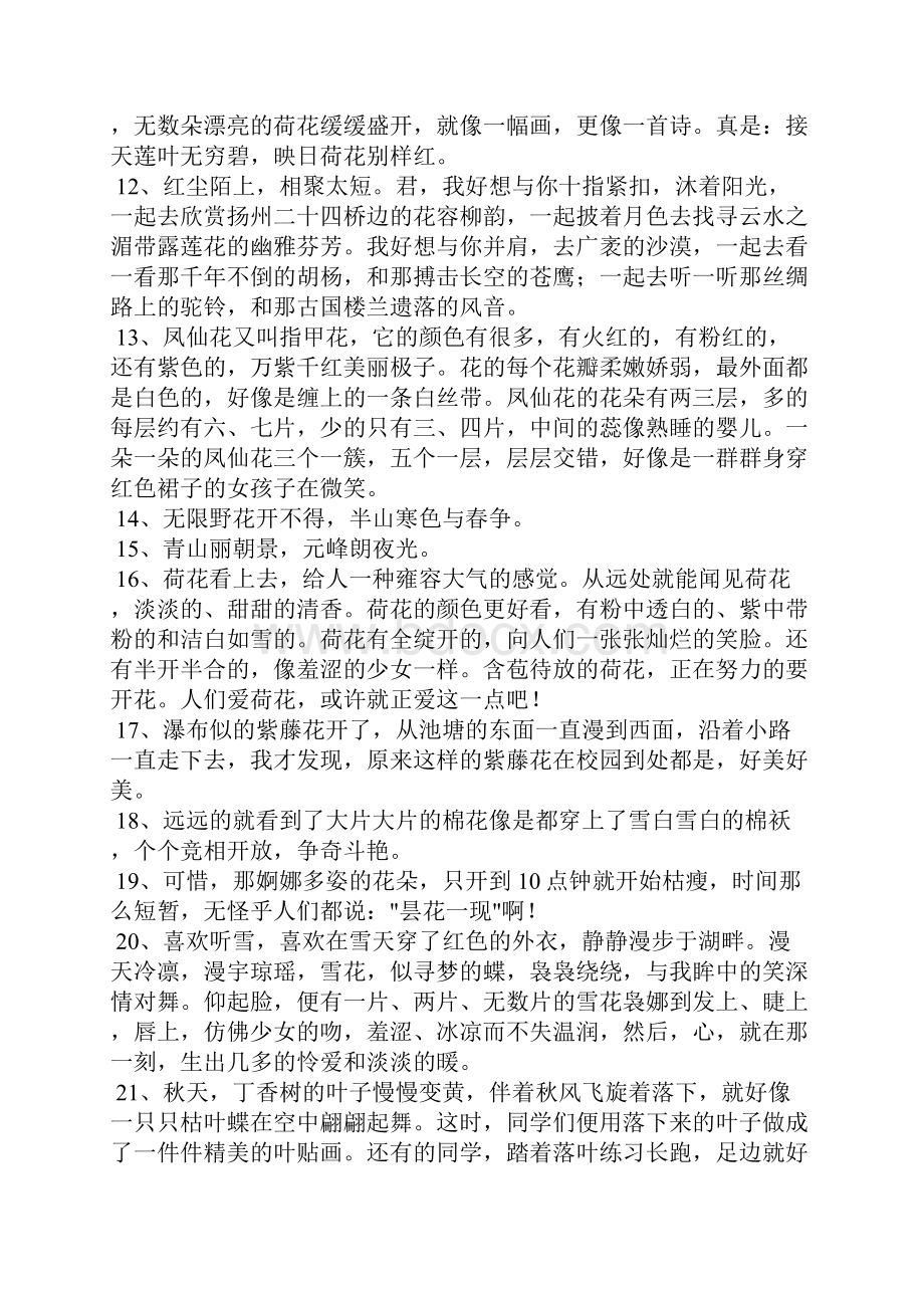 有关花的优美句子摘录90句.docx_第2页